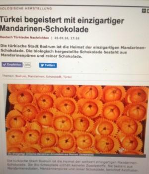 Deutsch Türkische Nachrichten