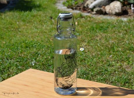 Trinkflasche ohne Plastik – mein neuer Liebling! Trinkflasche ohne Plastik – mein neuer Liebling!
