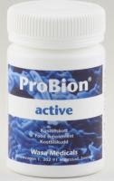 Wussten Sie schon, dass ProBion Präparate 10 mal mehr Milchsäurebakterien enthalten als andere Produkte?