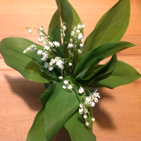 Friday-Flowerday – oder – Mai floral: Maiglöckchen und Pfingstrosen