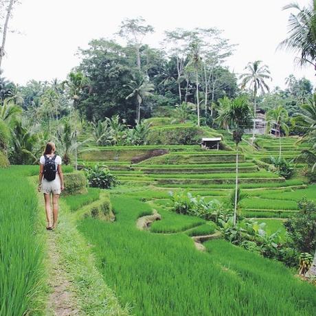 OOTD: Ricefields of Ubud