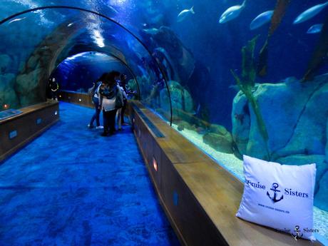 Tunnel im Aquarium Oceanografic