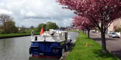 Rhein-Marne-Kanal: auf dem Sockel steht ein bäriger Kerl
