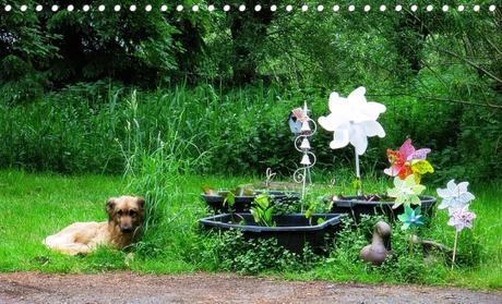 ein Brot und ein zwiebeliges-Brot-Dings IMG_0015