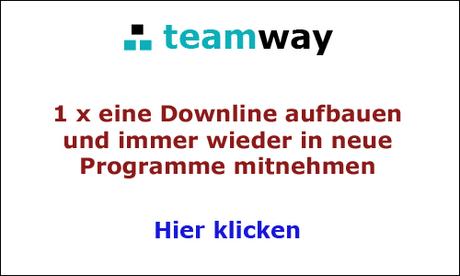Teamway - Das Team ist der Weg...