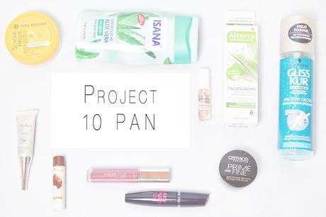 PROJECT 10 PAN