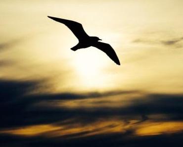 wallpaper-1689754