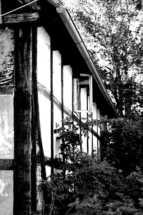 Blog + Fotografie by it's me! | fim.works | SchwarzWeissBlick No 17 | verlassenes Gehöft | Lost Place | offenstehendes Fenster