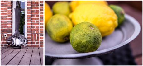 Blog + Fotografie by it's me | fim.works | Ein Garten im Norden | Tortenteller mit Zitronen und Limetten | Außenleuchte aus Metall