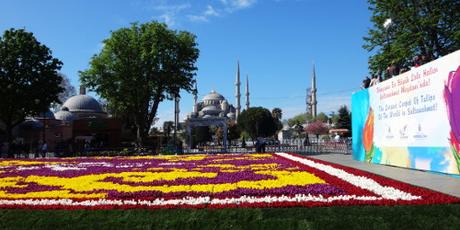 Istanbul: der weltgrösste Tulpenteppich Istanbul: der weltgrösste Tulpenteppich