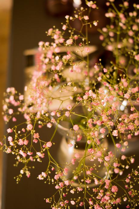 Blog + Fotografie by it's me | fim.works | Flower Friday | Rosa Schleierkraut Blog + Fotografie by it's me | fim.works | Flower Friday | Rosa Schleierkraut