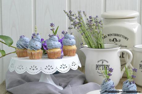 Kleine Lavendel Zitronen Cupcakes / Lavender Lemon Cupcakes Kleine Lavendel Zitronen Cupcakes / Lavender Lemon Cupcakes