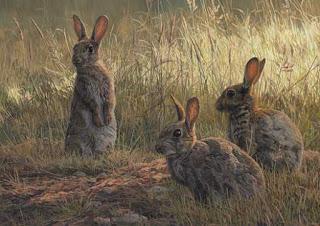 Die Kaninchen sind schuld | Fabel von James Thurber