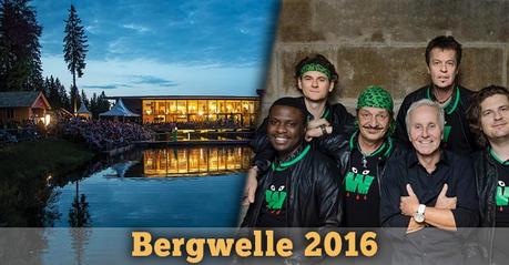 Bergwelle-2016