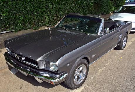 Rundgang über die Klassikertage 2014 in Hattersheim Rundgang über die Klassikertage 2014 in Hattersheim