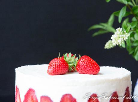 Strawberry chocolate cake (4 von 10)