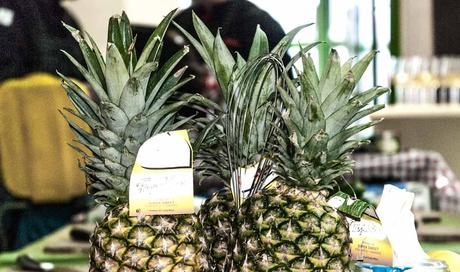 Kuriose Feiertage - 27. Juni - Tag der Ananas – der amerikanische National Pineapple Day (c) 2016 Sven Giese-1