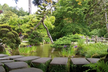 sf japanese tea garden golden gate park
