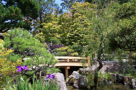 golden gate park tea garden