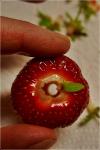 erfrischender ErdbeerMix & zwei kleine Tricks