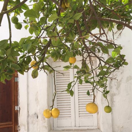 Das Glück einen Sehnsuchtsort zu haben – oder – Bilder von Santorini
