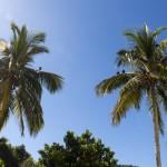Ilha Grande: Paradies mit dunkler Vergangenheit