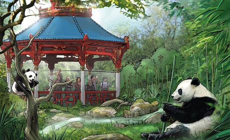 Erste Planungen Panda-Anlage im Zoo Berlin_2015