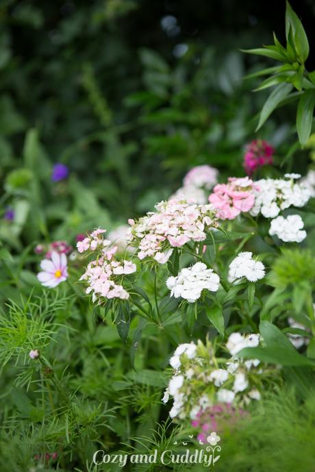 Gartentraum in Shabby - Inspirationen für den kleinen Garten. Kostengünstig und mit wenig Aufwand den Garten verschönern