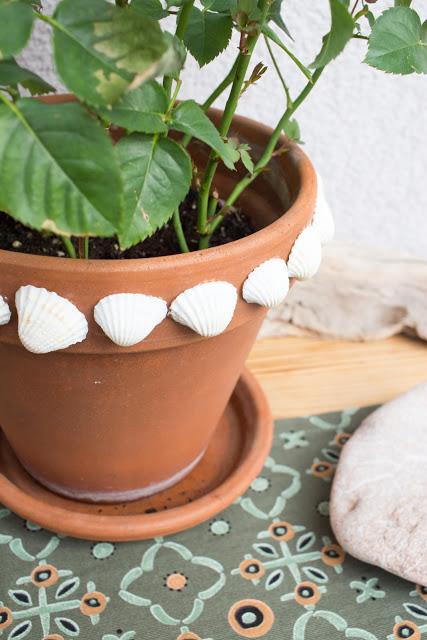 DIY | Blumentöpfe mit Muscheln gestalten - Ideen fürs Basteln und Selbermachen