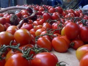 Getrockene Tomaten à la Aristippos