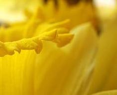 wallpaper-1689754
