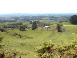 Farming_Country_In_Waitomo_Area