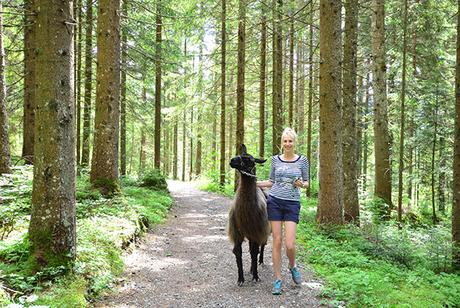 Urlaub auf dem Bauernhof und unser Video vom Lama-Trekking Urlaub auf dem Bauernhof und unser Video vom Lama-Trekking
