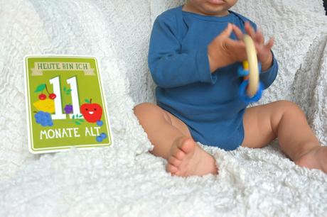 11 Monate Babyglück - Milestonecards