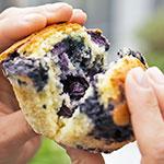 Locker fluffige Blaubeer-Muffins | Madame Cuisine Rezept