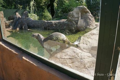 Budapest - Teil 9: Zoo (Teil 4)