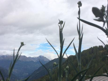 Sonntagsfreude: Vollmond in Tirol