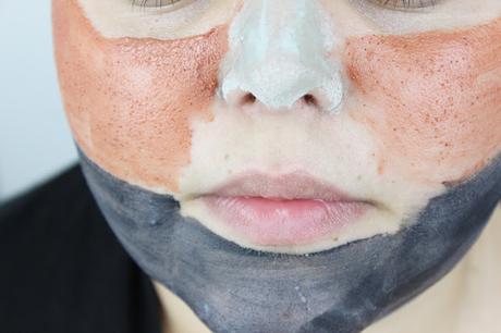 L'Oréal Paris Skin Expert Tonerde Absolue Masken