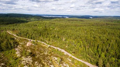 Blick über den Wald hinweg auf den See Stora Bör