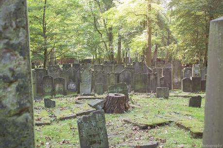 Jewish Graveyard Altona