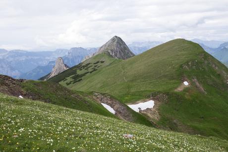 Blick vom Wildfeld zum Speikkogel, Stadelstein und Schwarzensteig | Theklasteig | Eisenerzer Alpen Höhenweg