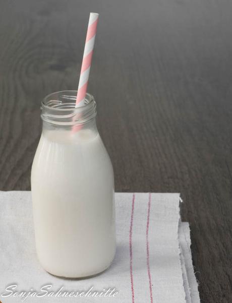 homemade-plant-milk-selbstgemachte-pflanzenmilch-2-von-5