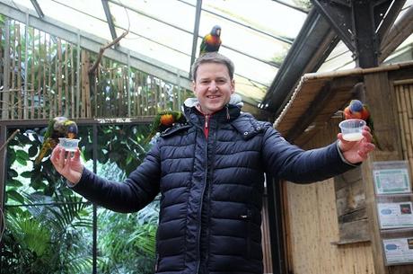 Auf Tuchfühlung mit Pinguinen und Loris – unser Herbsttag im Weltvogelpark Walsrode Auf Tuchfühlung mit Pinguinen und Loris – unser Herbsttag im Weltvogelpark Walsrode