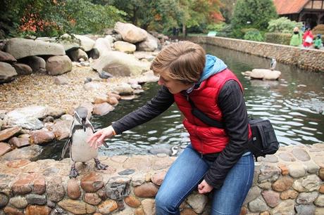 Auf Tuchfühlung mit Pinguinen und Loris – unser Herbsttag im Weltvogelpark Walsrode Auf Tuchfühlung mit Pinguinen und Loris – unser Herbsttag im Weltvogelpark Walsrode