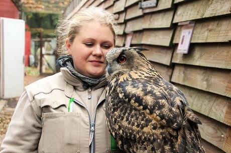 Auf Tuchfühlung mit Pinguinen und Loris – unser Herbsttag im Weltvogelpark Walsrode Auf Tuchfühlung mit Pinguinen und Loris – unser Herbsttag im Weltvogelpark Walsrode
