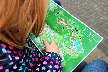 Auf Tuchfühlung mit Pinguinen und Loris – unser Herbsttag im Weltvogelpark Walsrode Auf Tuchfühlung mit Pinguinen und Loris – unser Herbsttag im Weltvogelpark Walsrode