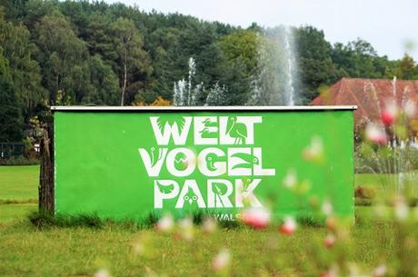 Auf Tuchfühlung mit Pinguinen und Loris – unser Herbsttag im Weltvogelpark Walsrode Auf Tuchfühlung mit Pinguinen und Loris – unser Herbsttag im Weltvogelpark Walsrode