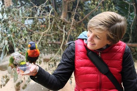 Auf Tuchfühlung mit Pinguinen und Loris – unser Herbsttag im Weltvogelpark Walsrode Auf Tuchfühlung mit Pinguinen und Loris – unser Herbsttag im Weltvogelpark Walsrode
