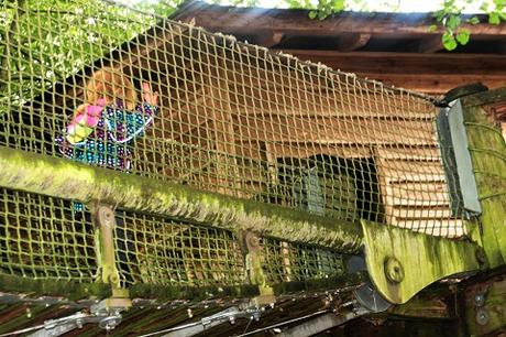 Auf Tuchfühlung mit Pinguinen und Loris – unser Herbsttag im Weltvogelpark Walsrode Auf Tuchfühlung mit Pinguinen und Loris – unser Herbsttag im Weltvogelpark Walsrode