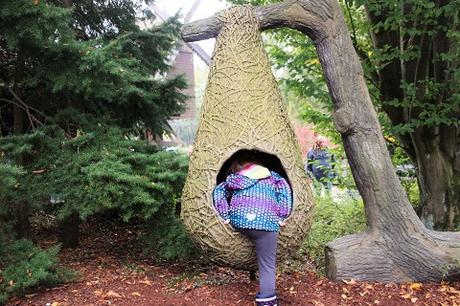 Auf Tuchfühlung mit Pinguinen und Loris – unser Herbsttag im Weltvogelpark Walsrode Auf Tuchfühlung mit Pinguinen und Loris – unser Herbsttag im Weltvogelpark Walsrode